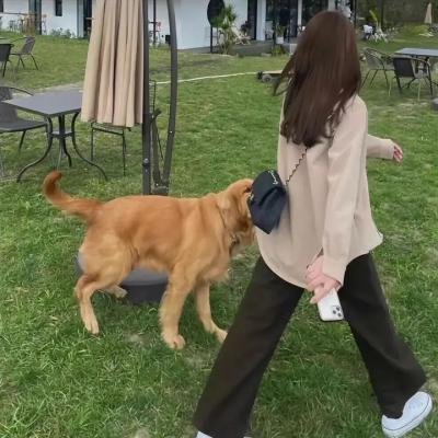 杨洋三嫁