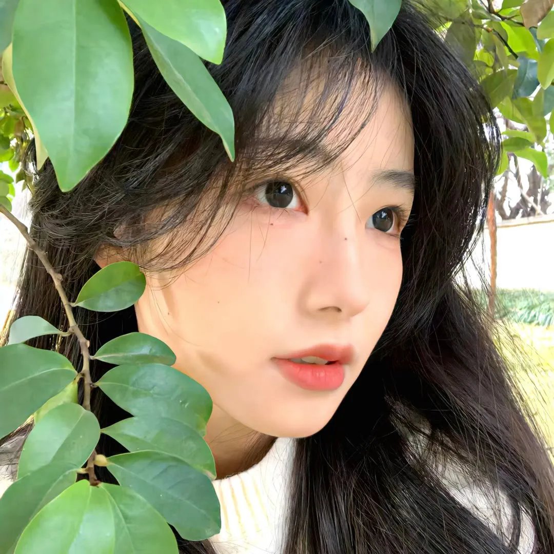 欢乐树的朋友们